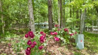 415798 Blairsville Residential