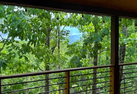 415829 Mineral Bluff Residential