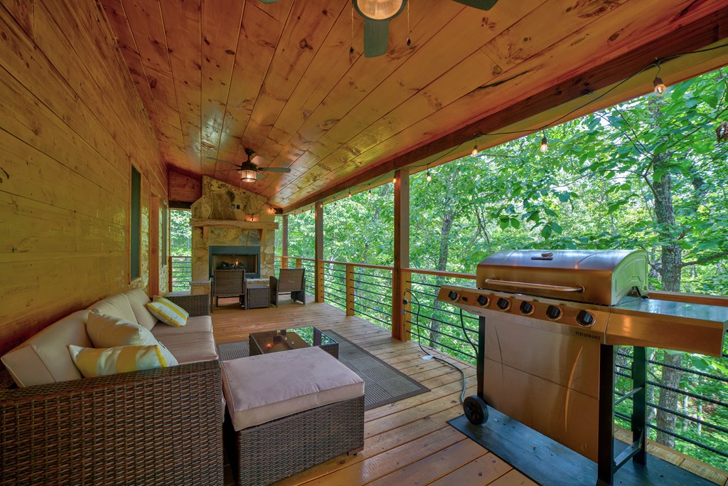 415829 Mineral Bluff Residential