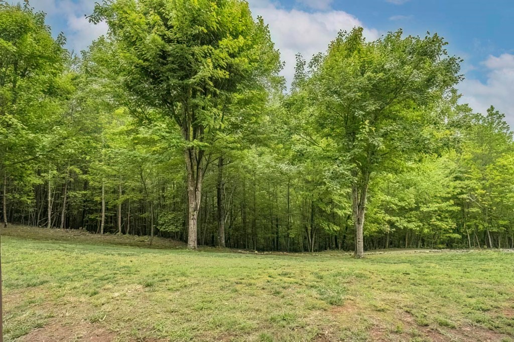 415869 Morganton Residential