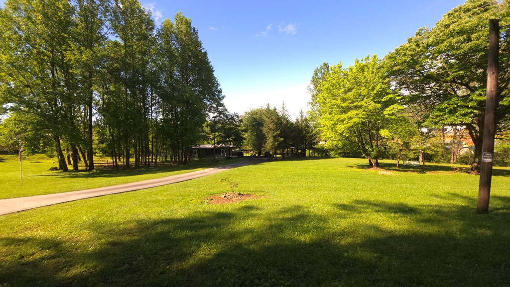 415871 Young Harris Residential
