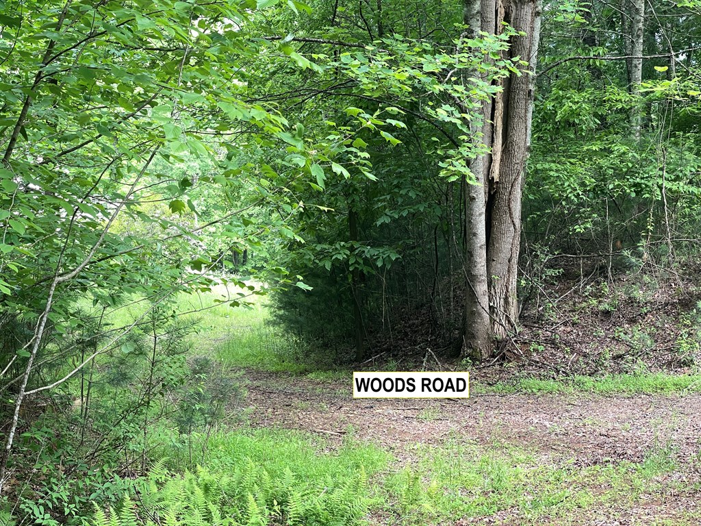 415875 Hayesville Residential