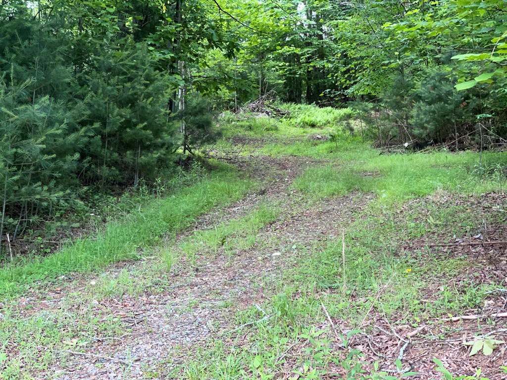 415875 Hayesville Residential