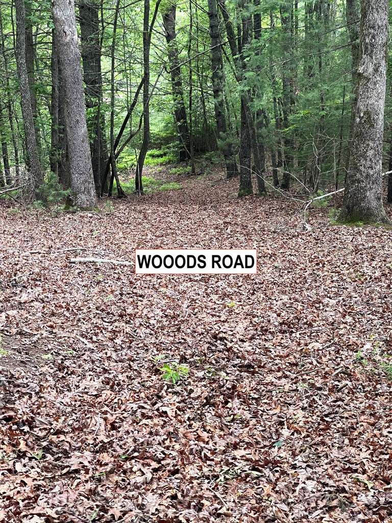 415875 Hayesville Residential
