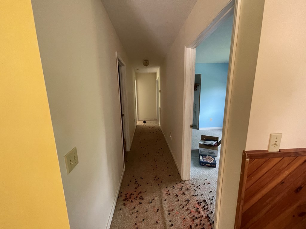 415875 Hayesville Residential