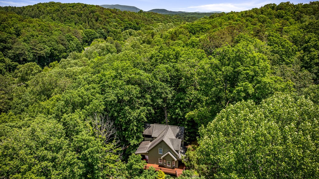 415895 Ellijay Residential