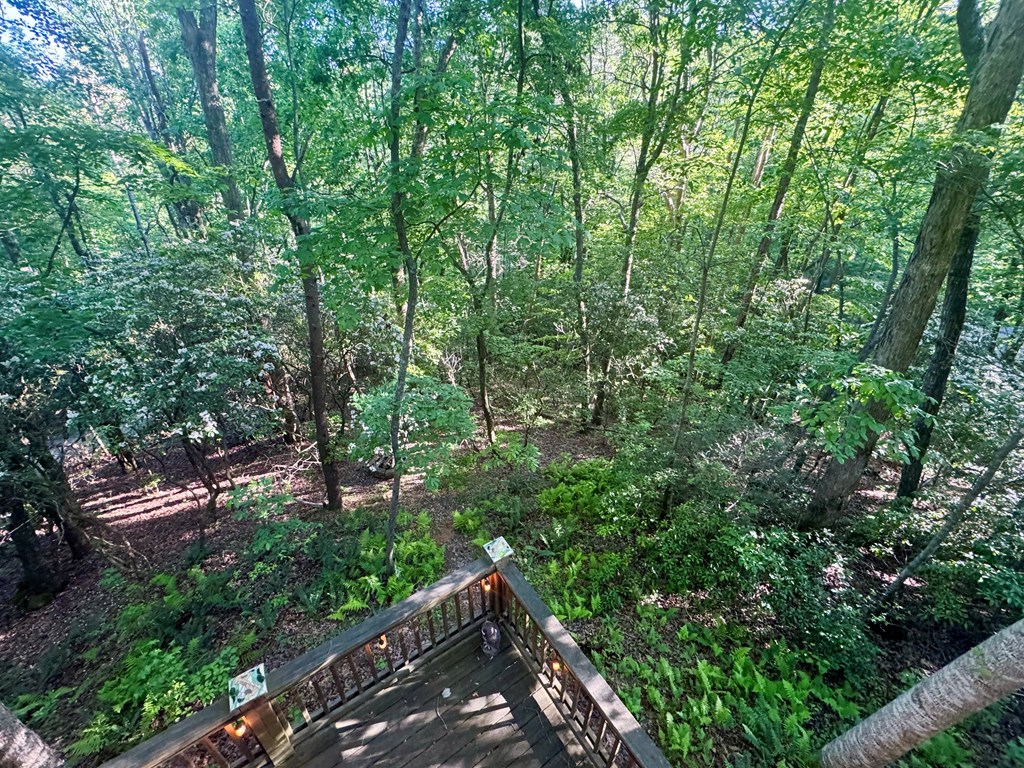 415900 Blue Ridge Residential