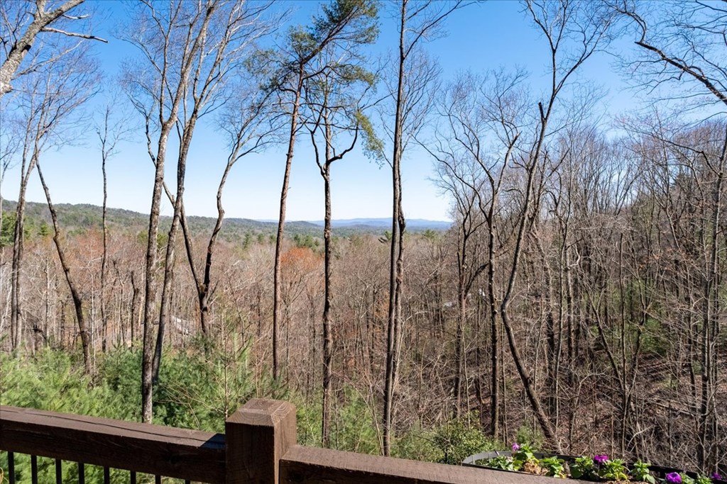 415906 Ellijay Residential