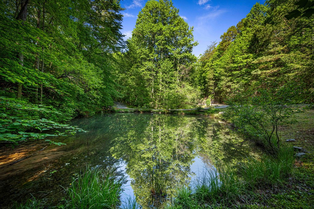 415907 Ellijay Residential