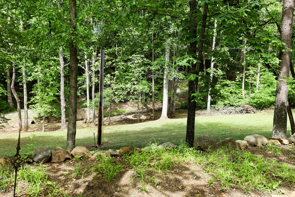 415909 Blairsville Residential