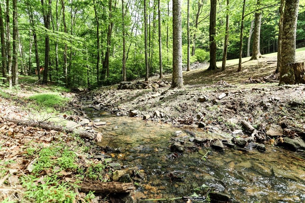 415909 Blairsville Residential