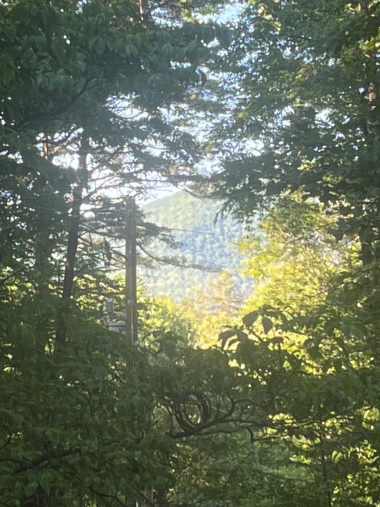 415910 Hiawassee Residential