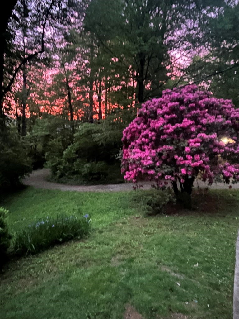 415910 Hiawassee Residential