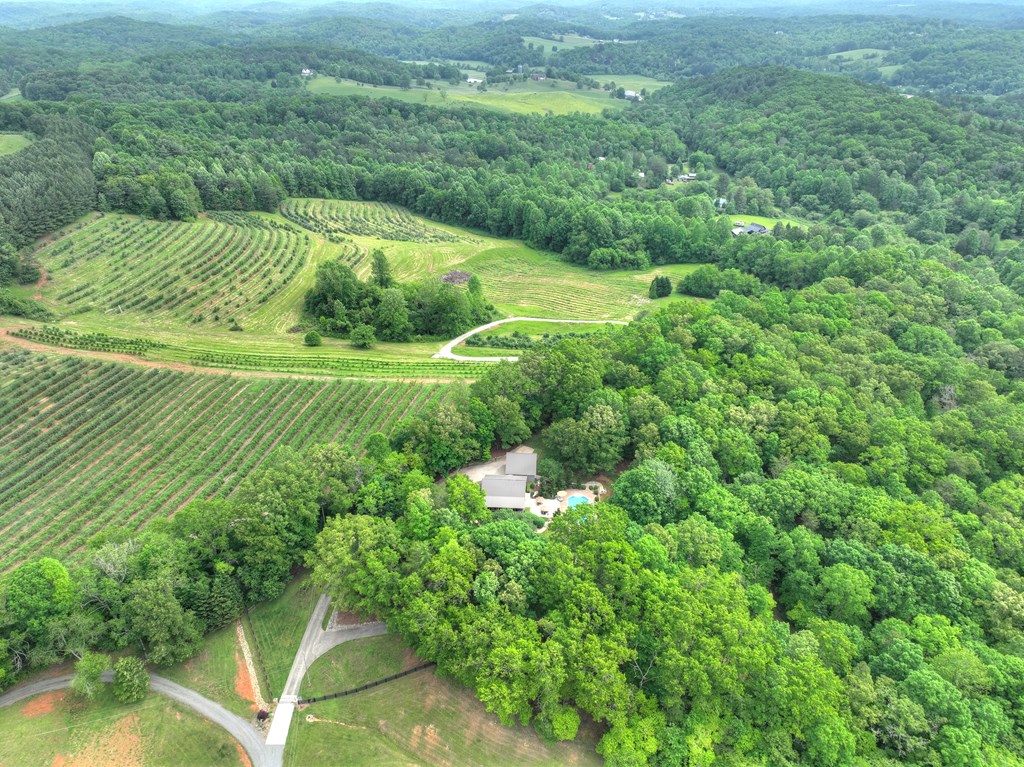 415919 Blue Ridge Residential
