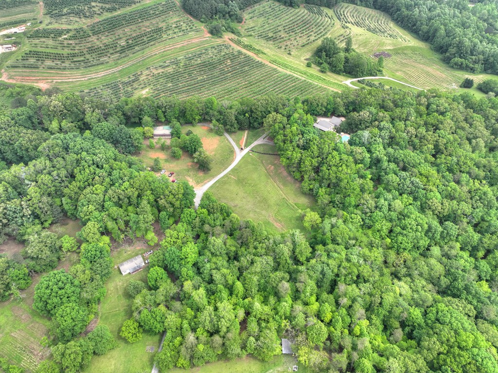 415919 Blue Ridge Residential