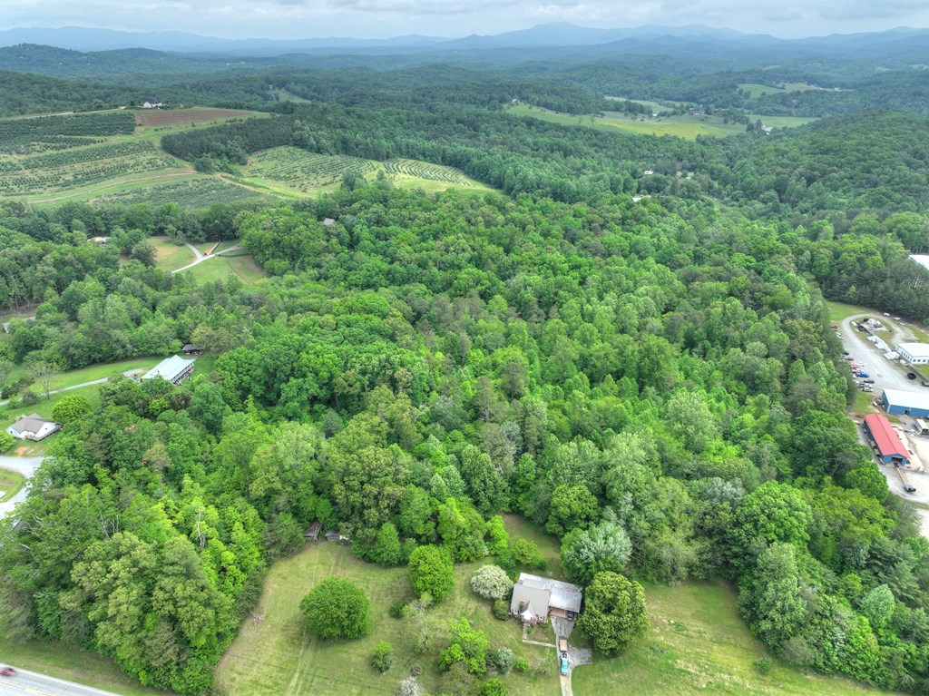415919 Blue Ridge Residential