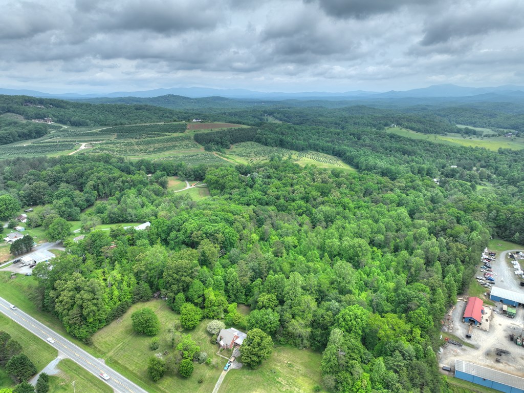 415919 Blue Ridge Residential