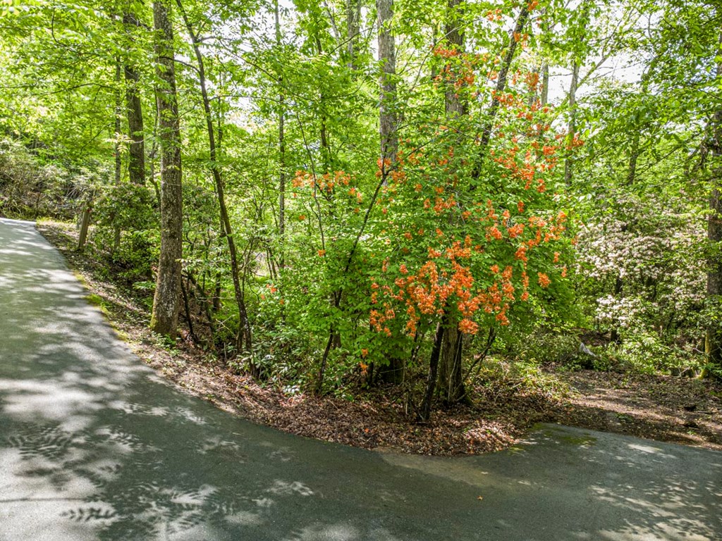 415923 Mineral Bluff Residential