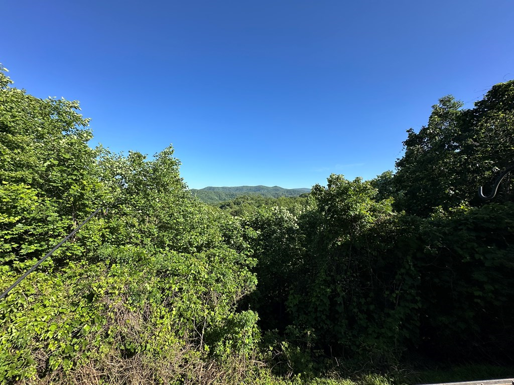 415936 Blue Ridge Residential