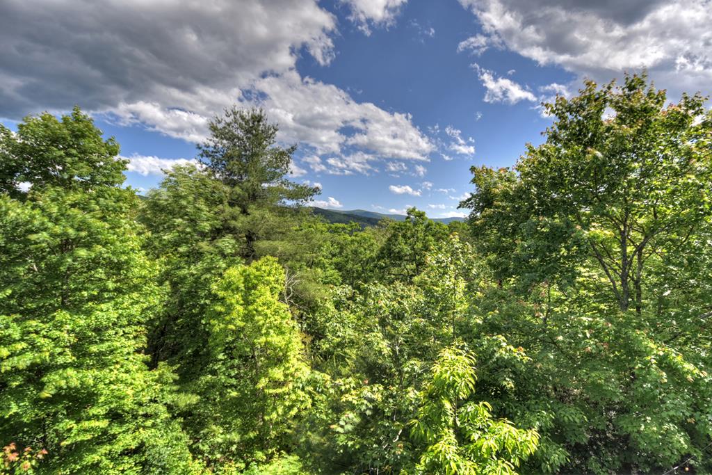 415948 Blue Ridge Residential