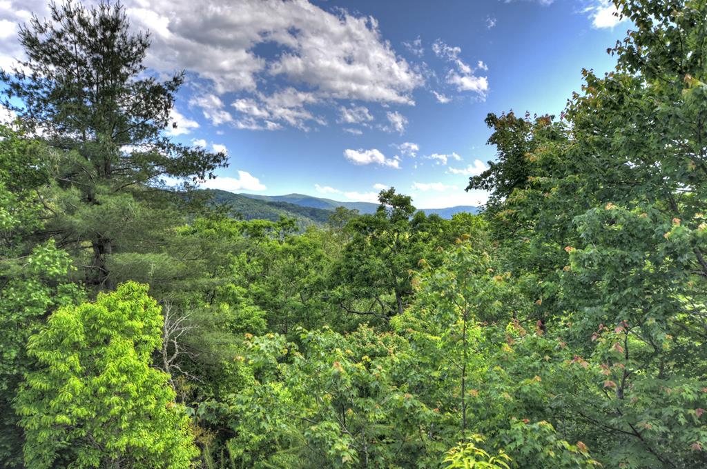 415948 Blue Ridge Residential