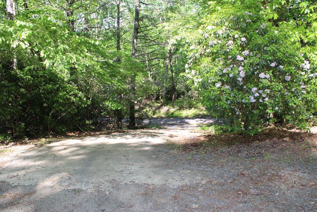 415972 Hiawassee Residential