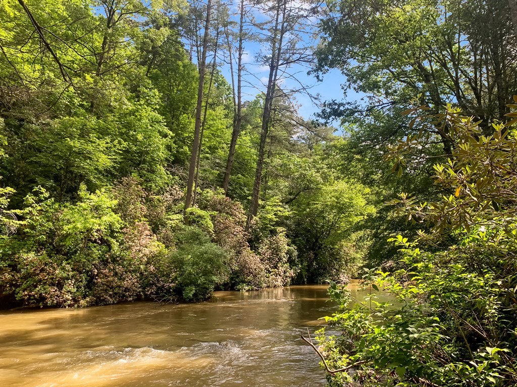 416005 Ellijay Residential