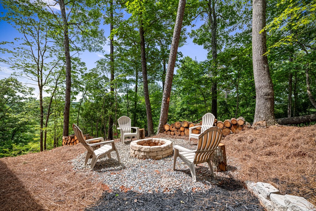 416031 Ellijay Residential