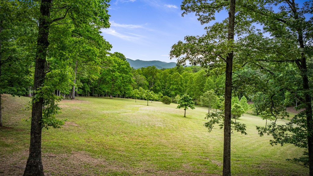 416036 Blairsville Residential