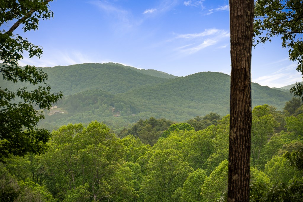 416036 Blairsville Residential