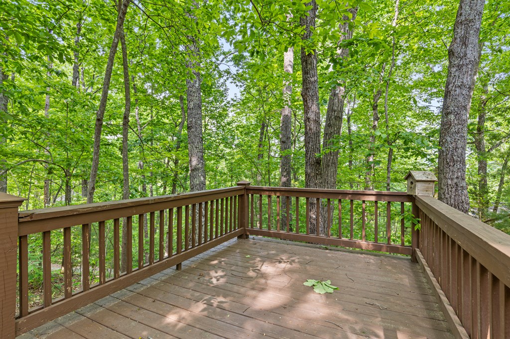 416044 Cherry Log Residential
