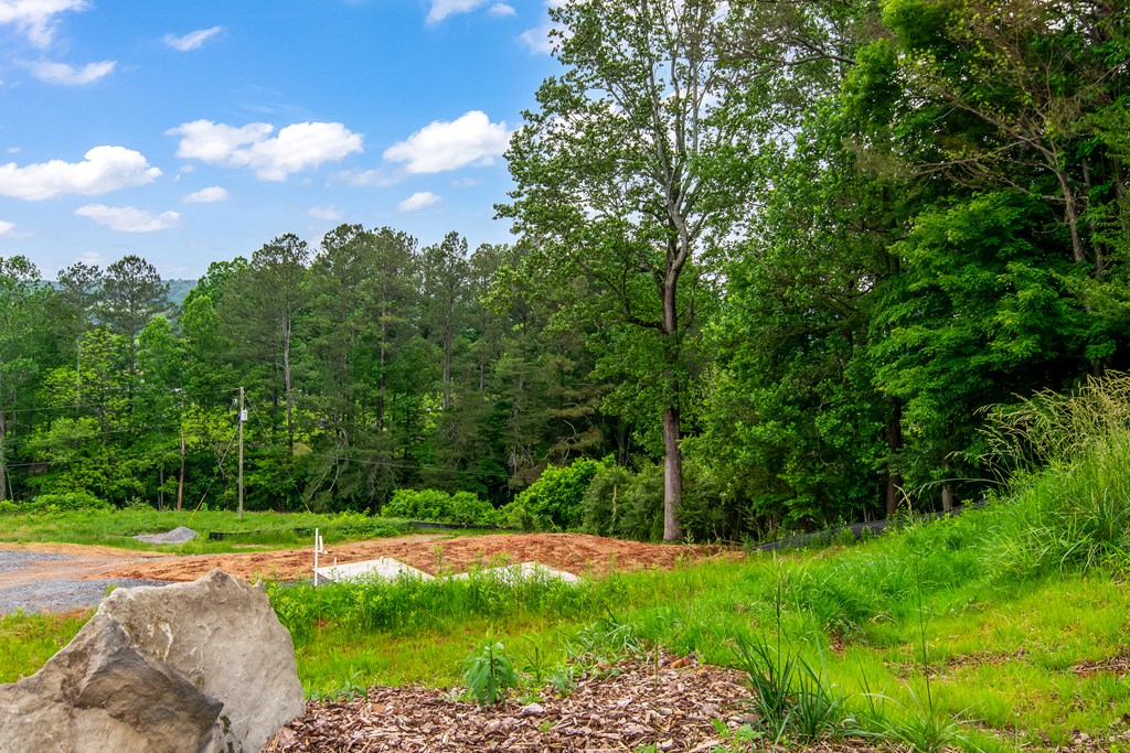 416047 Ellijay Residential