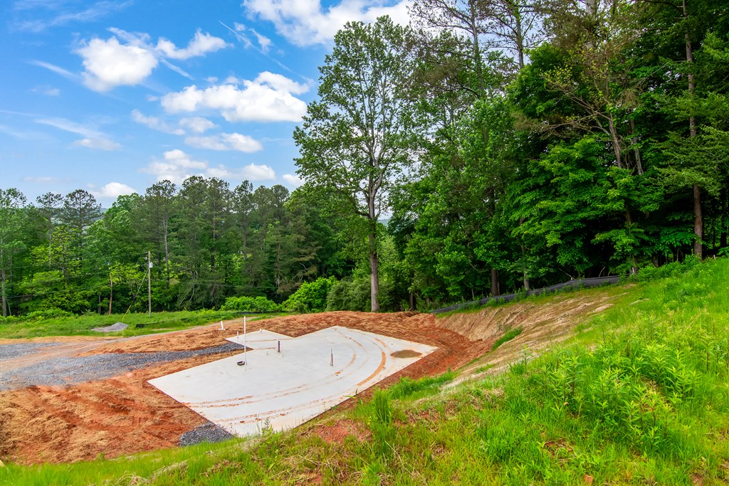 416047 Ellijay Residential
