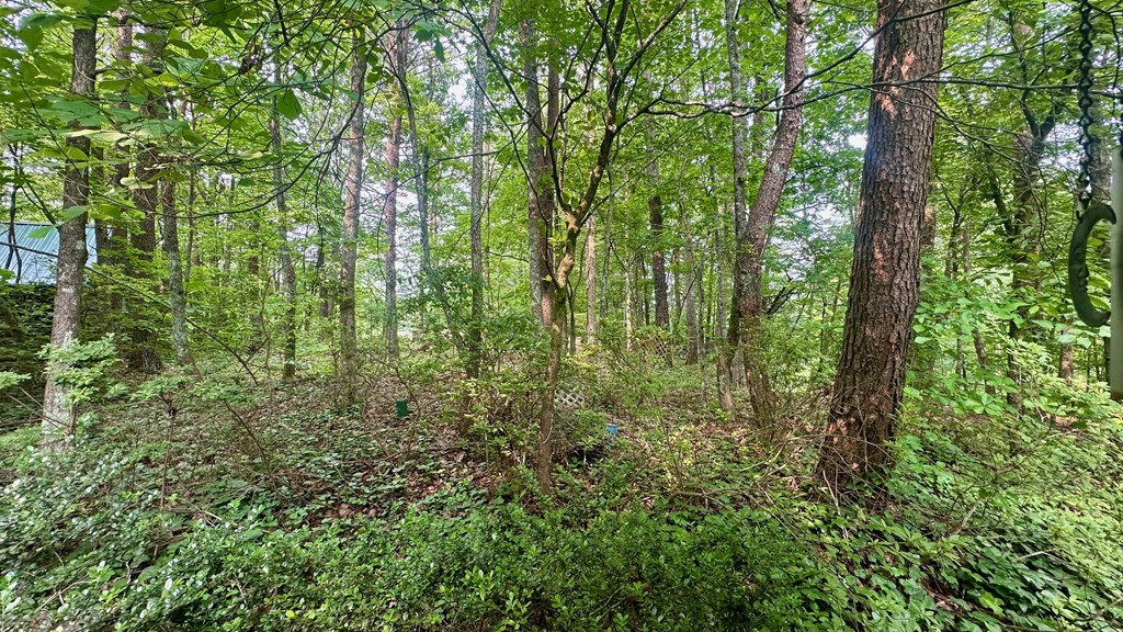 416174 Blue Ridge Residential