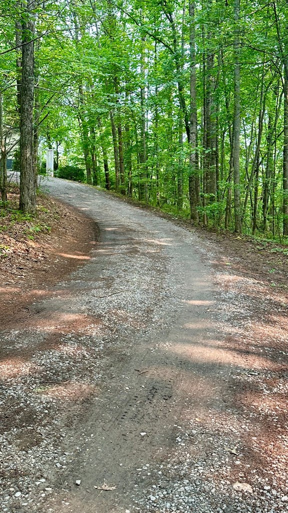 416174 Blue Ridge Residential
