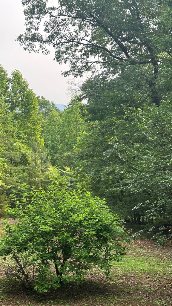 416174 Blue Ridge Residential
