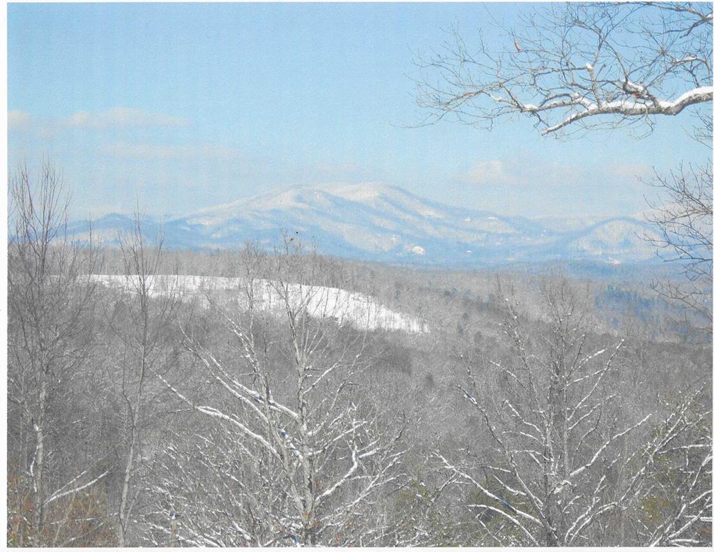 416174 Blue Ridge Residential