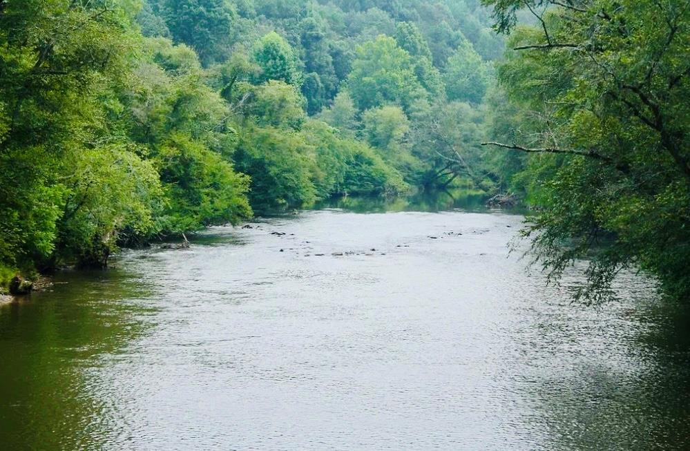 416282 Ellijay Residential