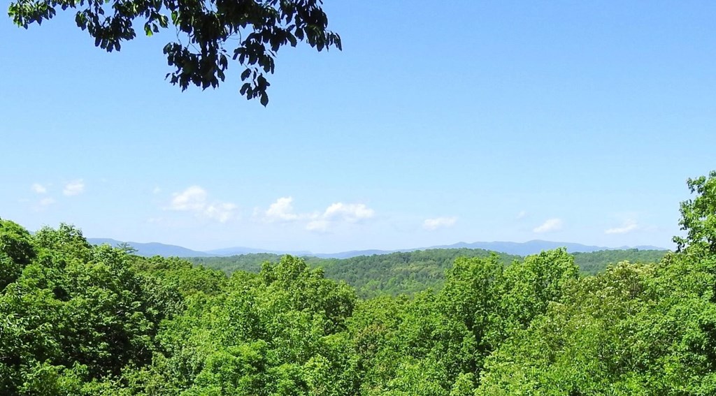 416346 Blue Ridge Residential