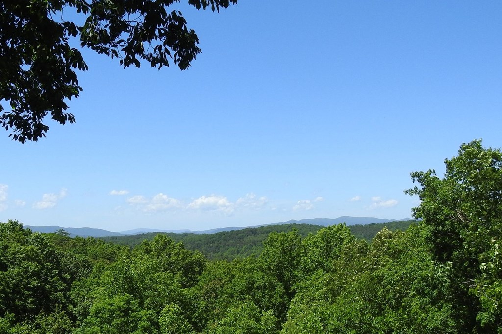 416346 Blue Ridge Residential