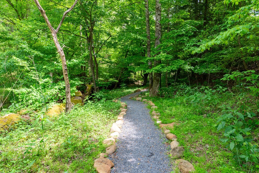 416400 Ellijay Residential
