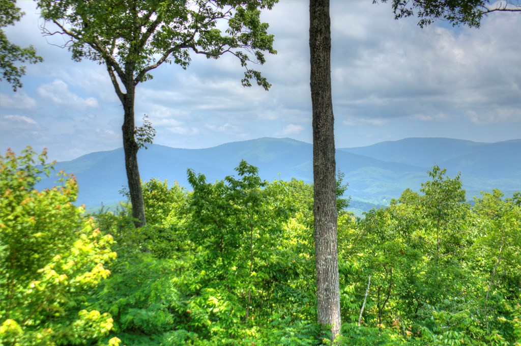 416414 Ellijay Residential