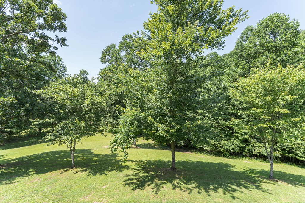 416426 Murphy Residential