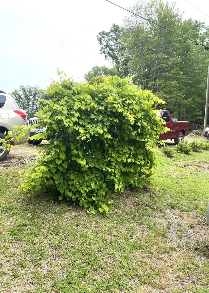 416487 Ellijay Residential