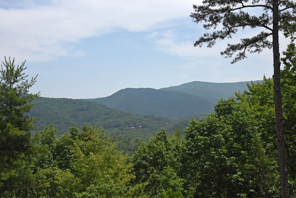 416571 Blue Ridge Residential