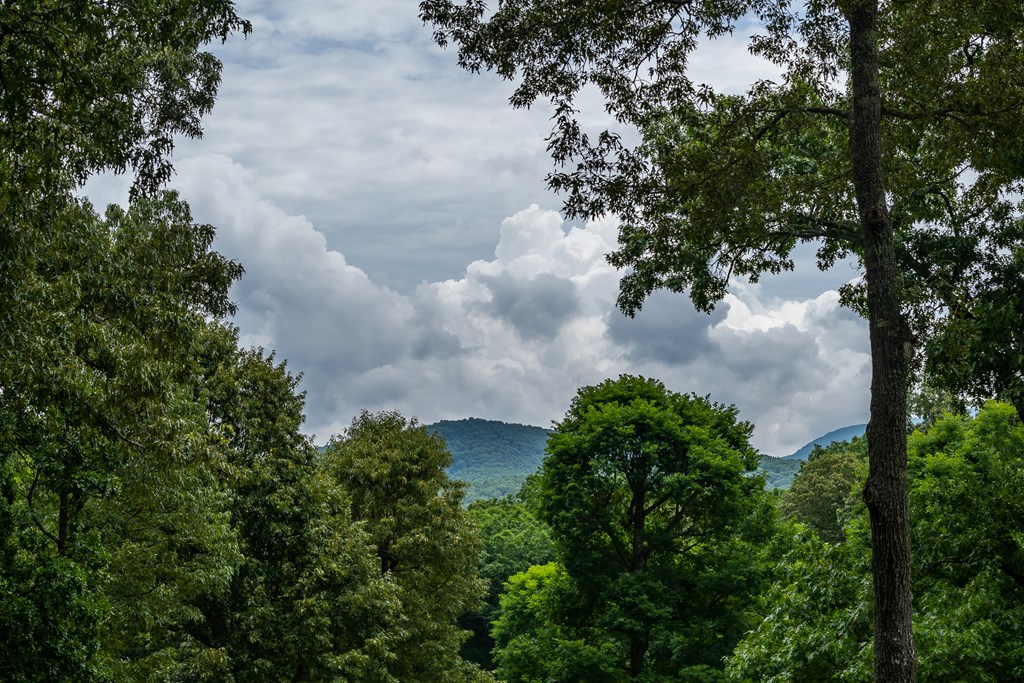 416595 Blairsville Residential