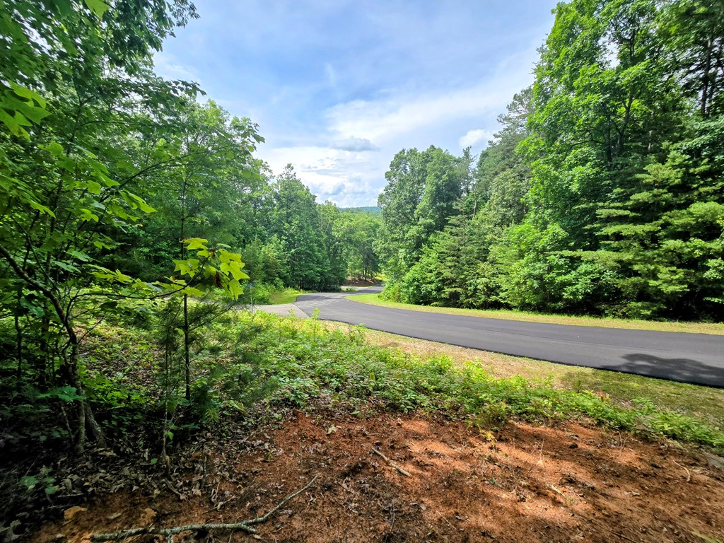 416605 Blairsville Residential