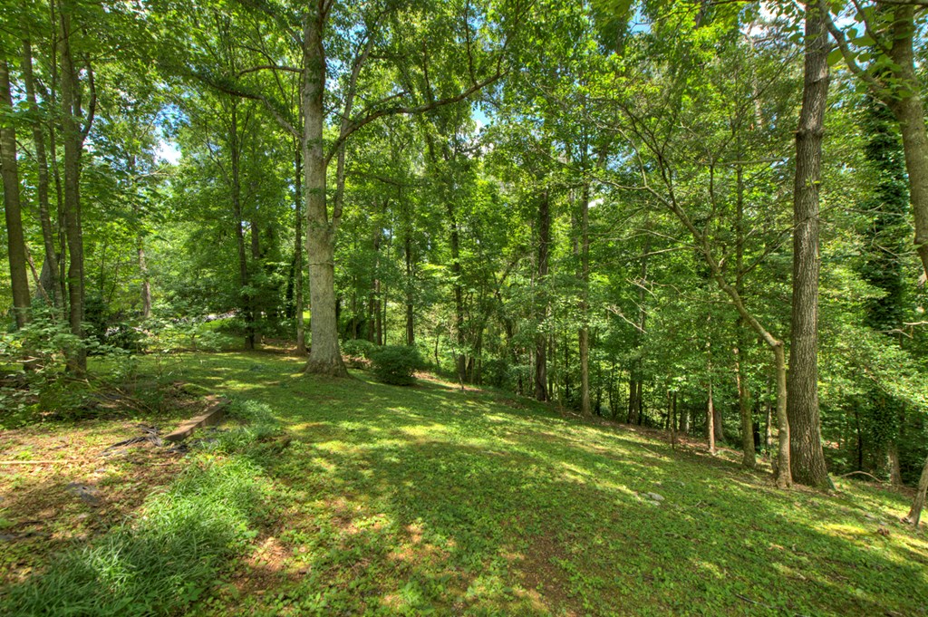 416666 Ellijay Residential