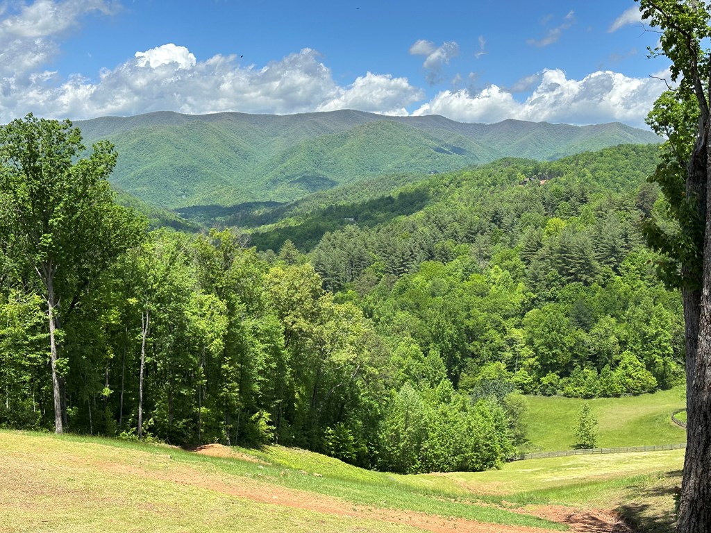416697 Hayesville Residential