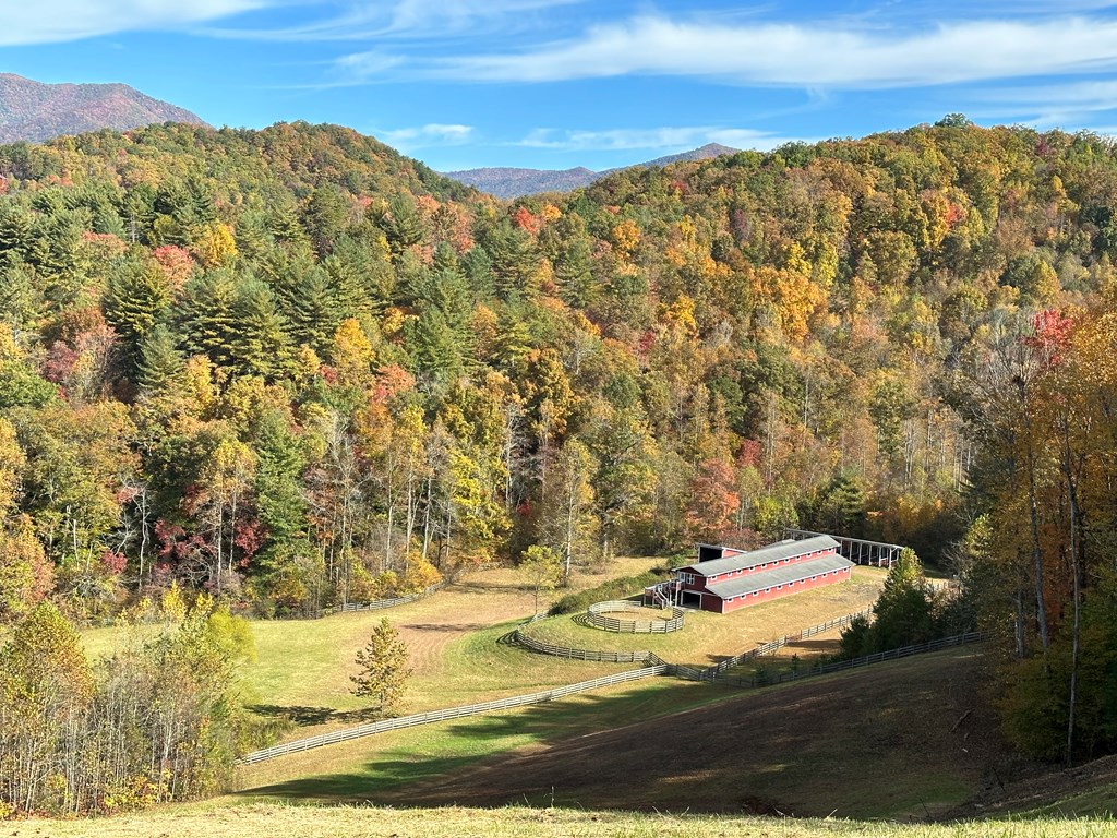 416697 Hayesville Residential
